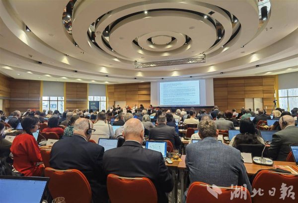 湖北专家赴欧参加国际食品法典会议 助推农产品质量安全标准与国际接轨