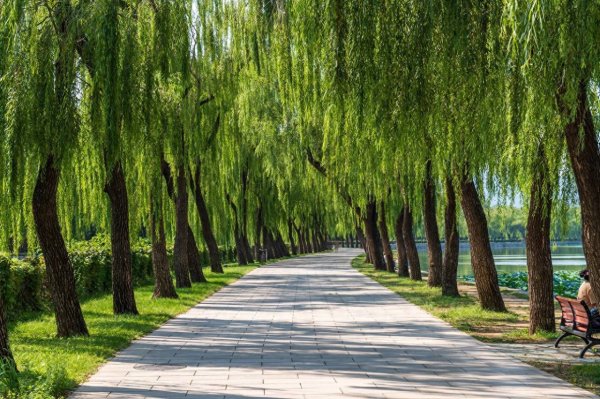 生态环境主业告急：亏损、坏账、资金链三重压顶|诚邦股份迷局