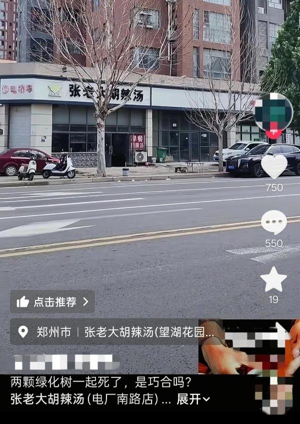 郑州一胡辣汤店门口行道树枯死引质疑 店方回应：投毒传言不实