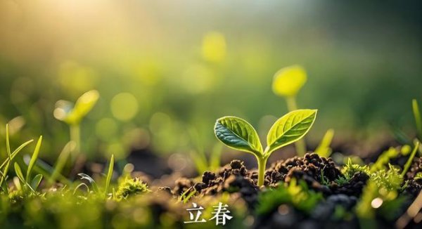 24首节气诗词，24幅节气诗画，春去冬来，太美了